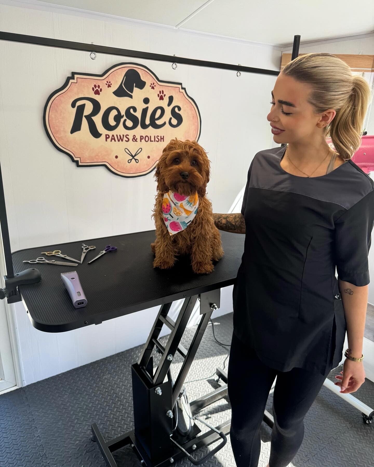 Rosie grooming a dog at Paws and Polish salon in Edinburgh — professional dog grooming service.